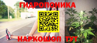 стафф Рыбинск