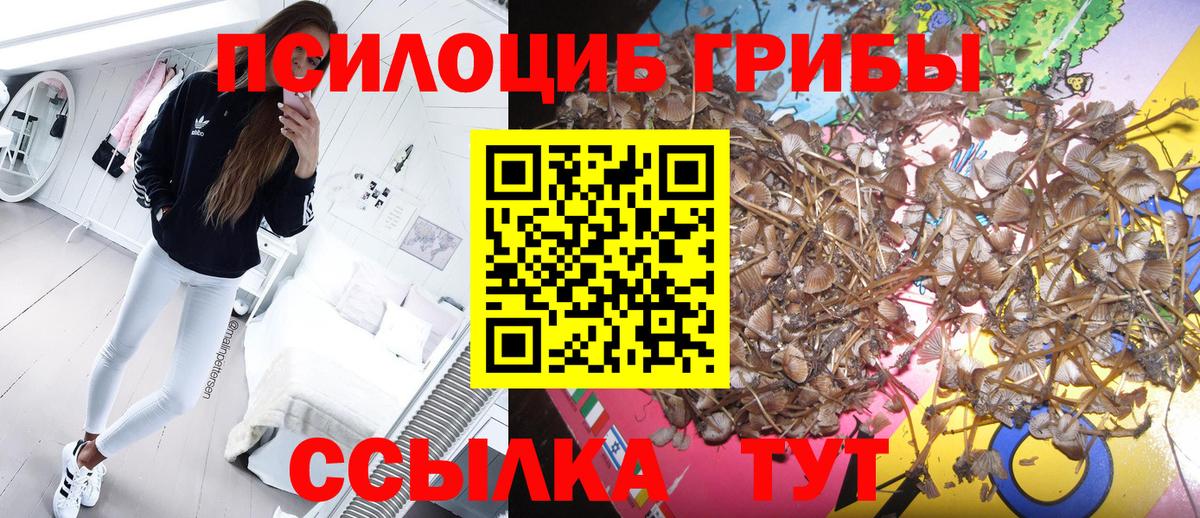 Псилоцибиновые грибы GOLDEN TEACHER  Вход с VPN  Острогожск 